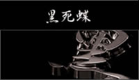 黒死蝶