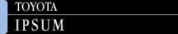 IPSUM