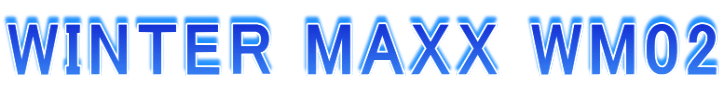 WINTER MAXX WM02