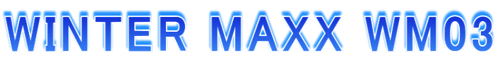 WINTER MAXX WM03
